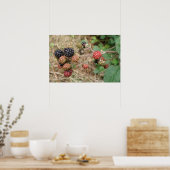 Bramen Bonanza Print (Keuken)