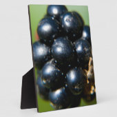 Bramen Fotoplaat (Zijkant)