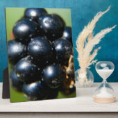 Bramen Fotoplaat (Zijkant)