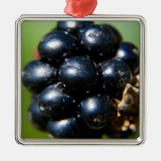 Bramen Metalen Ornament (Voorkant)