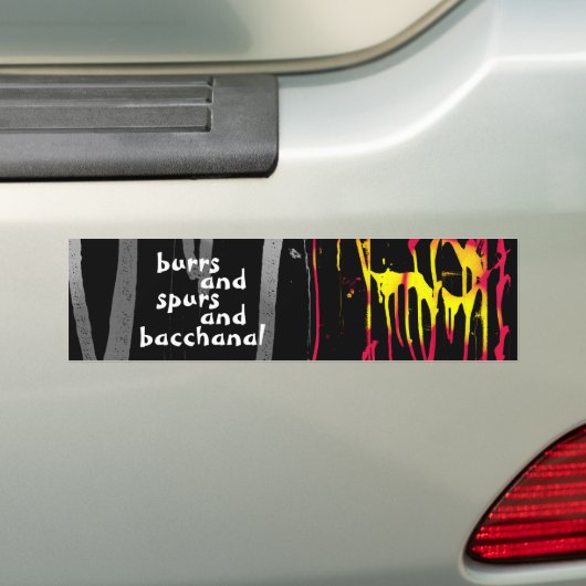 bramen, schuurtjes en rugleuningsticker bumpersticker (Op auto)