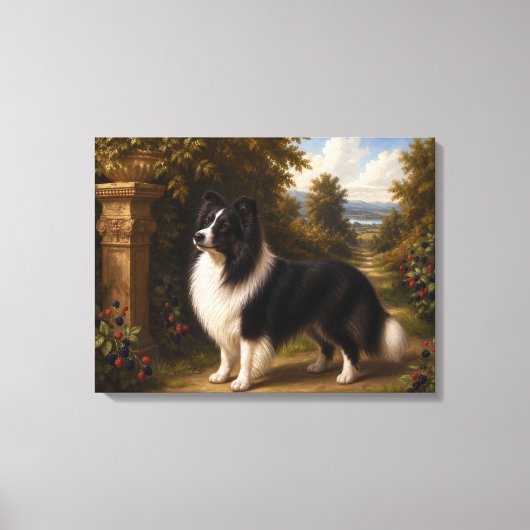 Bramen, Shetland Sheepdog Canvas Afdruk (Voorkant)