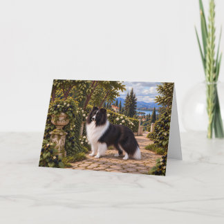 Bramen, Shetland Sheepdog Kaart