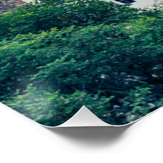 Bran castle perfect poster (Hoek)