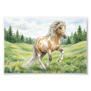 Brana Pinto Palomino IJslandse Aquarel Foto Afdruk