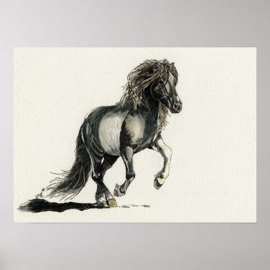 Brana Poster (Voorkant)