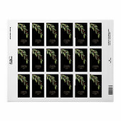 Branch and Berries Black Christmas Retouradres Etiket (Full Sheet)