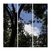 Branch-Bound Sky Triptych