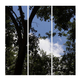 Branch-Bound Sky Triptych Drieluik