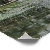 Branch in ondiep water poster (Hoek)