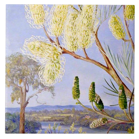 Branch of a Grevillea and View on the Swan River Tegeltje (Voorkant)