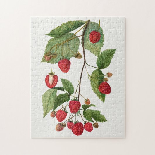 Branch of Blackberry Fruit Waterverf Painting Legpuzzel (Verticaal)