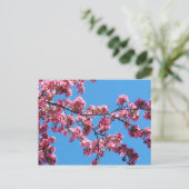 Branch of Cherry Blossom Briefkaarten (Staand voorkant)