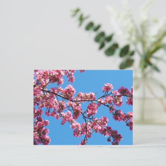 Branch of Cherry Blossom Briefkaarten (Staand voorkant)