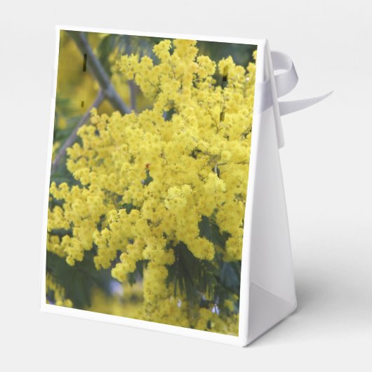 Branch of mimosa bedankdoosjes (Achterkant)