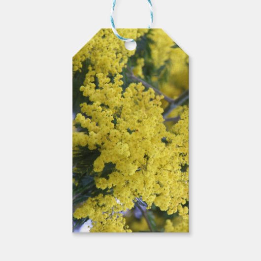 Branch of mimosa cadeaulabel (Voorkant)