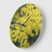 Branch of mimosa grote klok (Hoek)