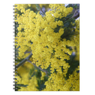 Branch of mimosa notitieboek