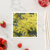 Branch of mimosa servet (Insitu)
