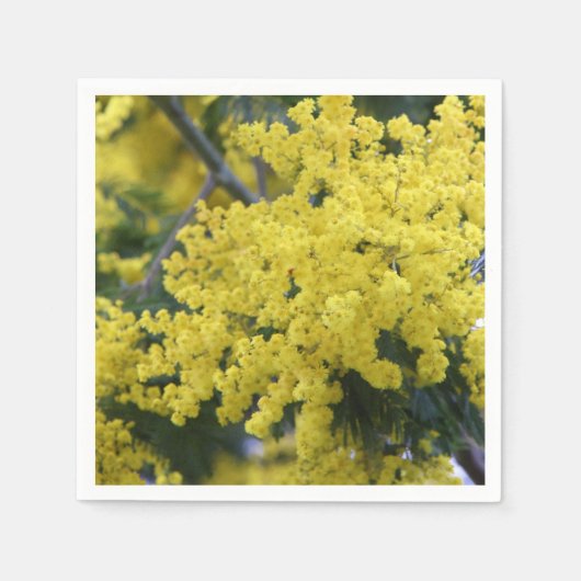 Branch of mimosa servet (Voorkant)