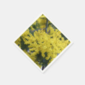 Branch of mimosa servet (Hoek)