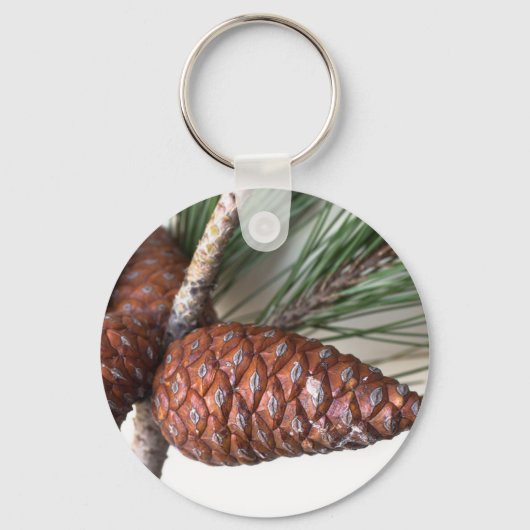 Branch of pine with the pinecone sleutelhanger (Voorkant)