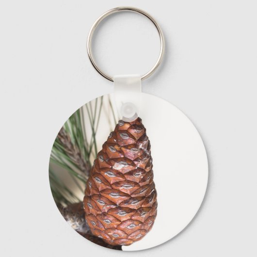 Branch of pine with the pinecone sleutelhanger (Voorkant)