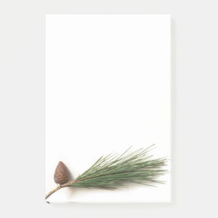 Branch of pine with the pinecones post-it® notes