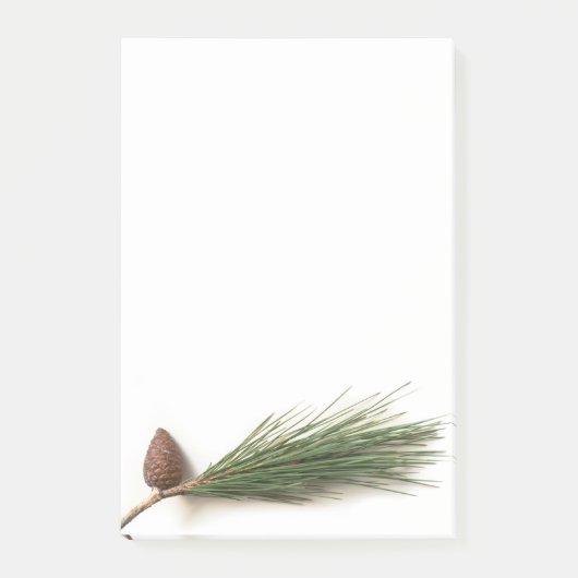 Branch of pine with the pinecones post-it® notes (Voorkant)