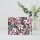Branch of Pink Blossom Spring Floral Briefkaart (Staand voorkant)