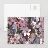 Branch of Pink Blossom Spring Floral Briefkaart (Voorkant / Achterkant)