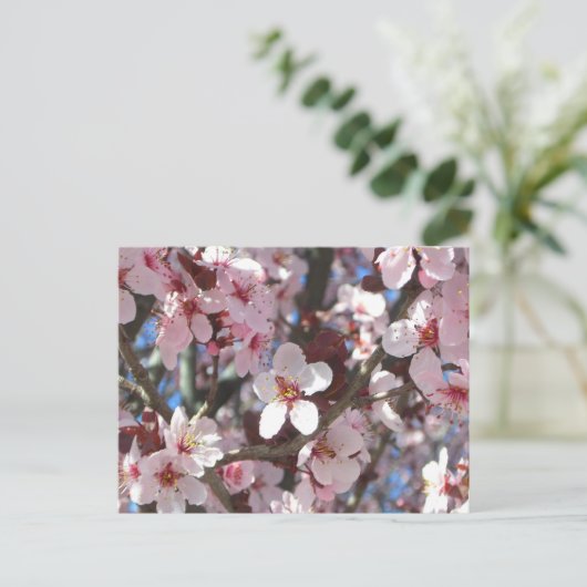 Branch of Pink Blossom Spring Floral Briefkaart (Staand voorkant)
