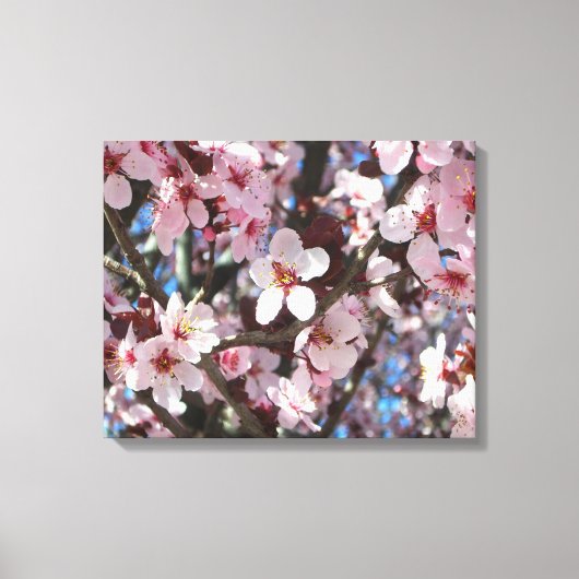 Branch of Pink Blossom Spring Floral Canvas Afdruk (Voorkant)