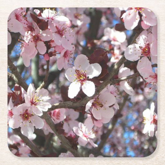 Branch of Pink Blossom Spring Floral Kartonnen Onderzetters (Voorkant)