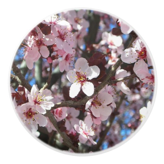 Branch of Pink Blossom Spring Floral Keramische Knop (Voorkant)