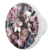 Branch of Pink Blossom Spring Floral Keramische Knop (Rechts)