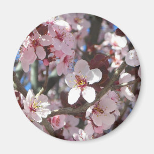 Branch of Pink Blossom Spring Floral Magneet
