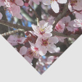 Branch of Pink Blossom Spring Floral Tissuepapier (Detail)