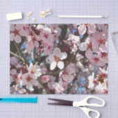 Branch of Pink Blossom Spring Floral Tissuepapier (Craft)