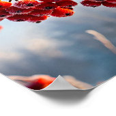 Branch of vibrant red berries poster (Hoek)