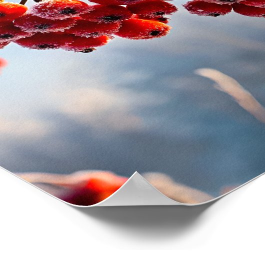 Branch of vibrant red berries poster (Hoek)