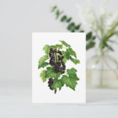Branch with Black Currant Fruit Briefkaart (Staand voorkant)