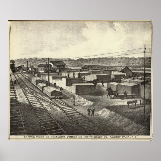 Branch yard, Princeton Lumber & Improvement Co. Poster (Voorkant)