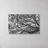 Branches en bladeren canvas afdruk (Voorkant)