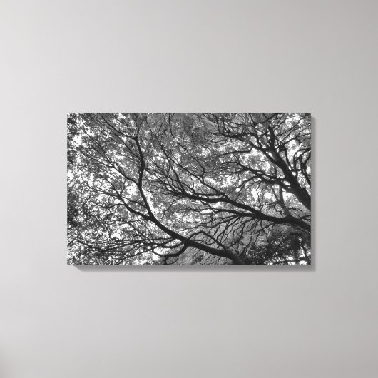 Branches en bladeren canvas afdruk (Voorkant)