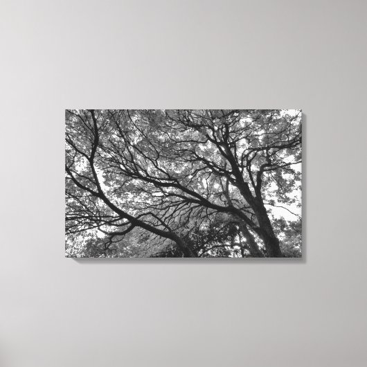 Branches en bladeren II Canvas Afdruk (Voorkant)