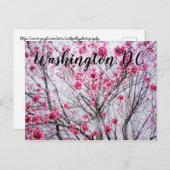 Branches en bloemen van een Cherry Tree Briefkaart (Voorkant / Achterkant)