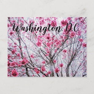 Branches en bloemen van een Cherry Tree Briefkaart