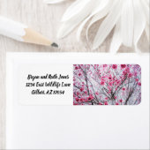 Branches en bloemen van een Cherry Tree Etiket (Insitu)