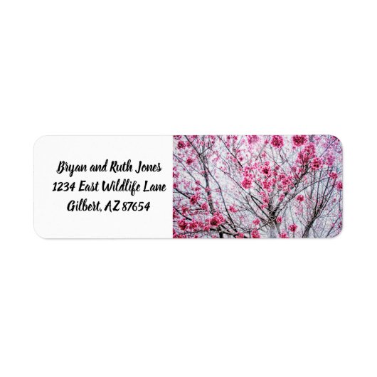 Branches en bloemen van een Cherry Tree Etiket (Voorkant)